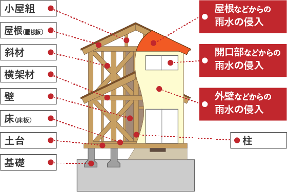 木造（在来軸組工法）の戸建住宅